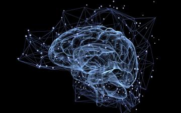 Le E-learning, fer de lance de la neuropédagogie ?